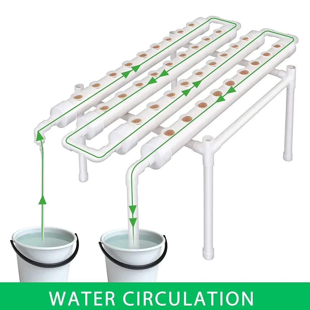 36 Sites Hydroponic Grow Tool Kits Vegetable Garden System 220V Water Pump Price