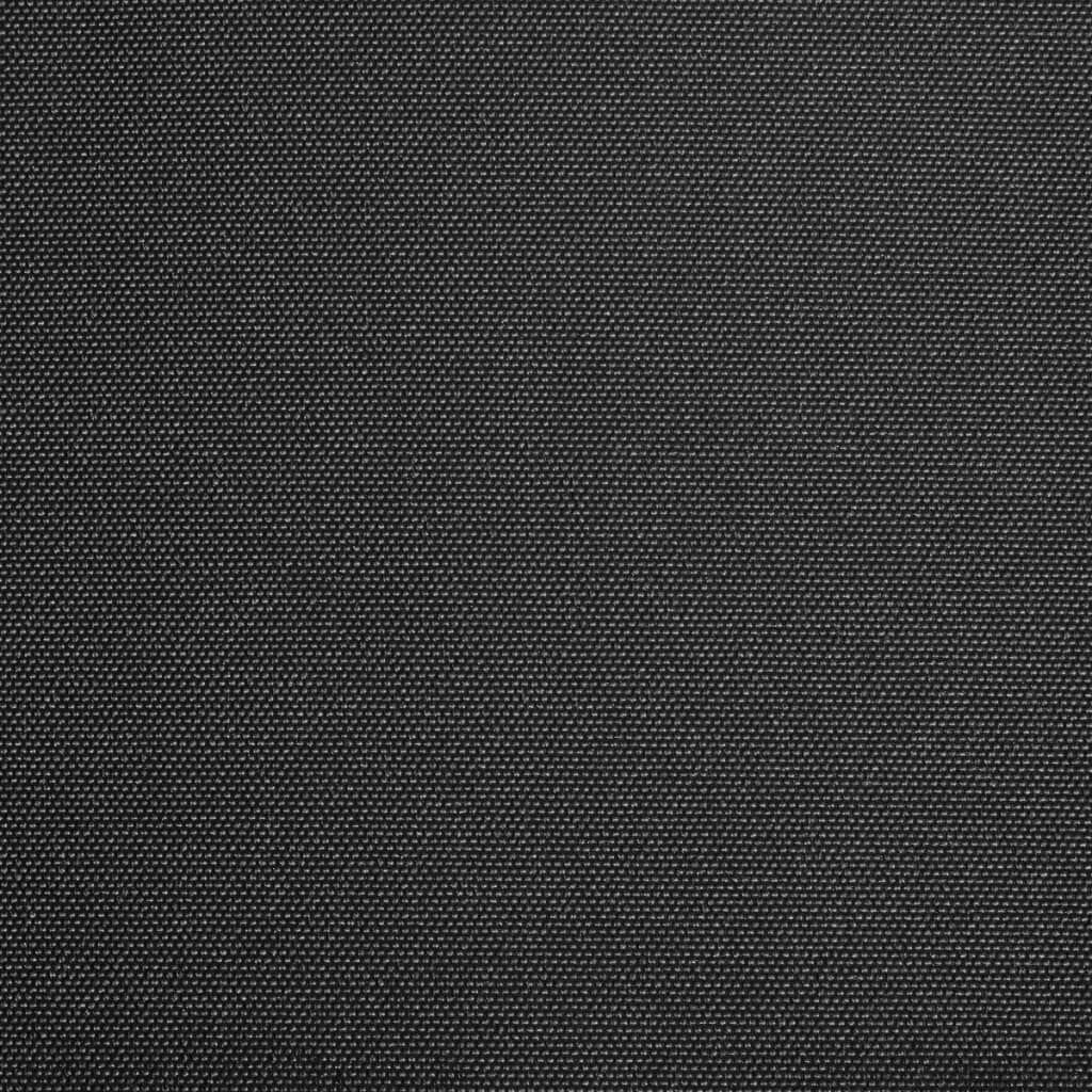 Awning Top Sunshade Canvas Anthracite 300x250 cm Price