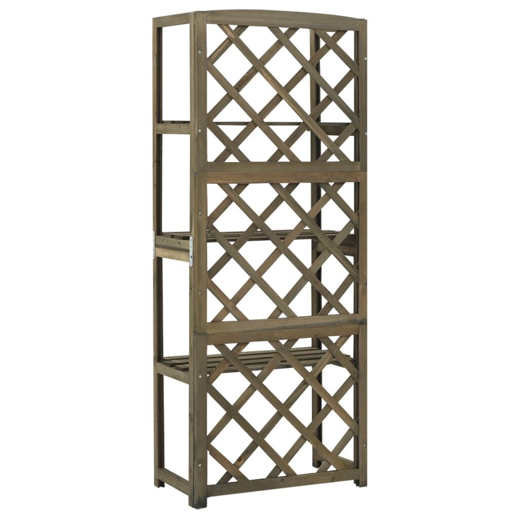 Trellis with Shelves Grey 55x30x140 cm Solid Fir Wood Price
