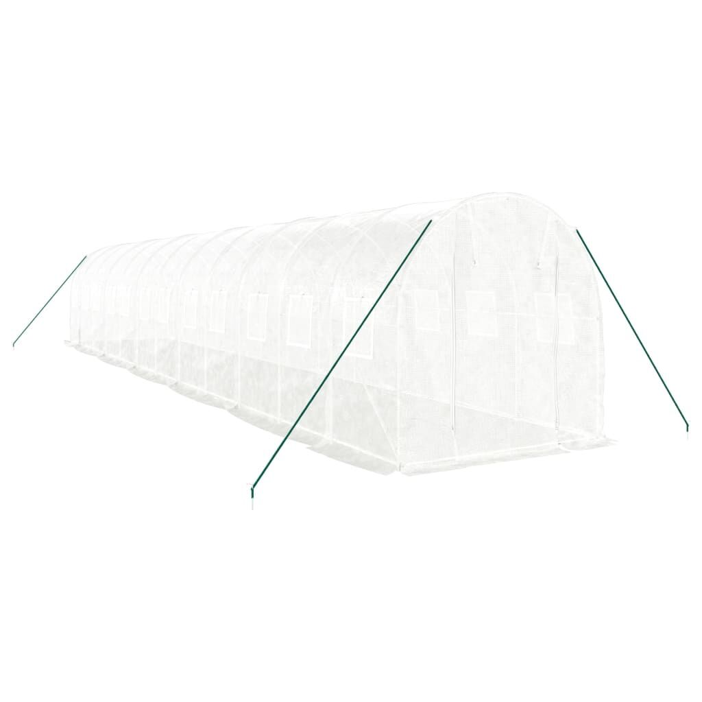 Greenhouse with Steel Frame White 24 m² 12x2x2 m Price