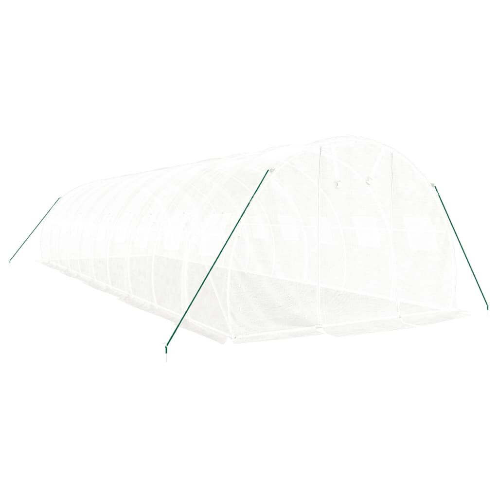 Greenhouse with Steel Frame White 30 m² 10x3x2 m Price
