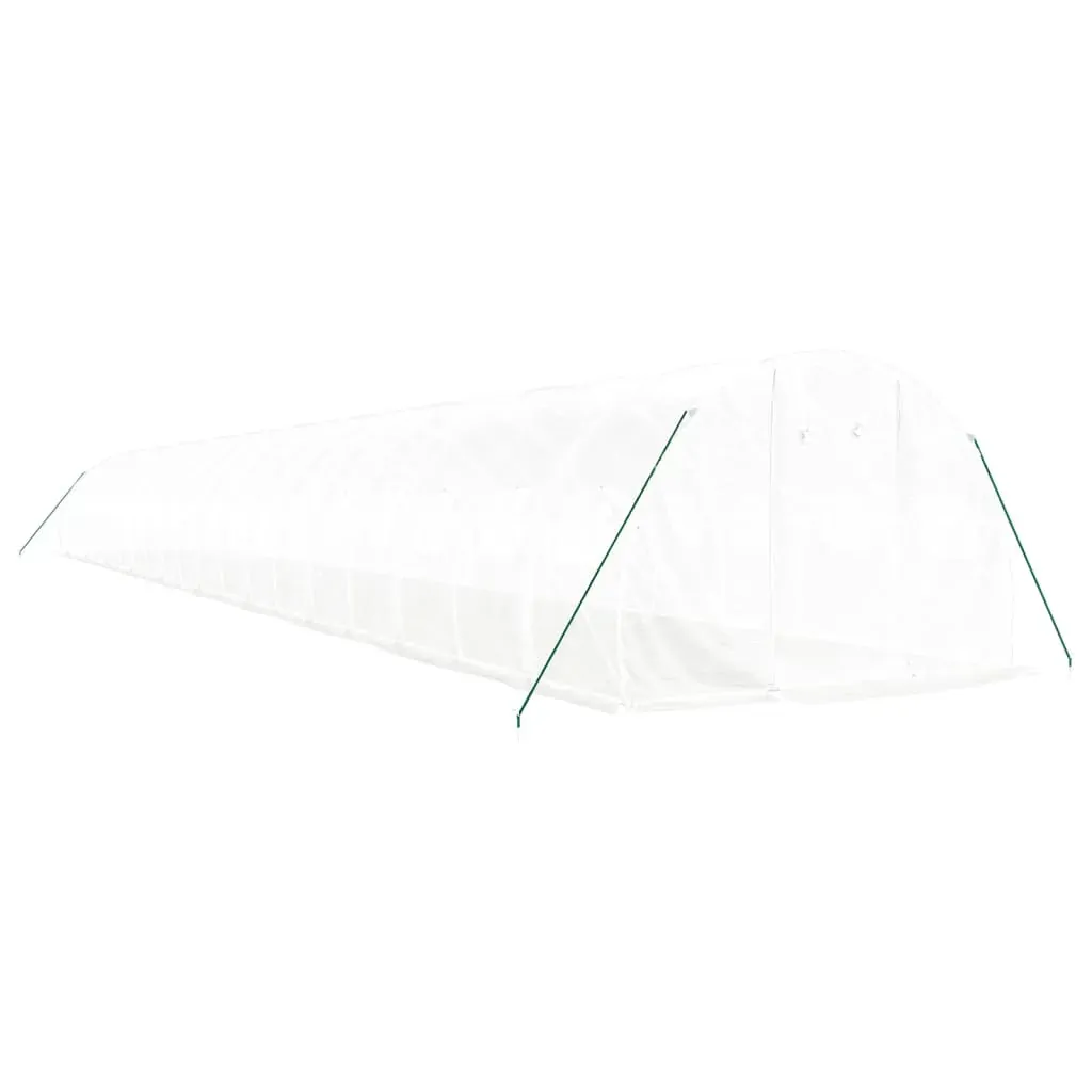 Greenhouse with Steel Frame White 60 m² 20x3x2 m Price