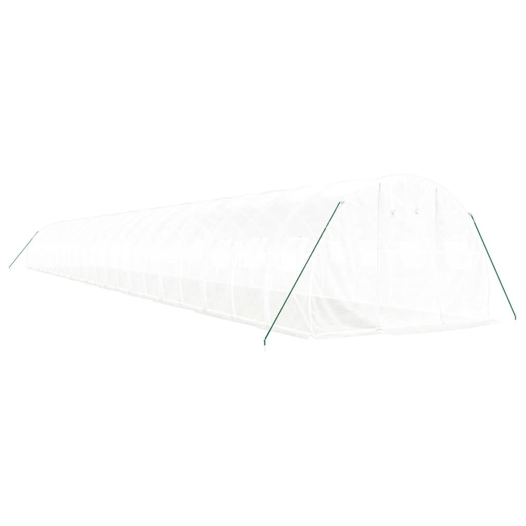 Greenhouse with Steel Frame White 66 m² 22x3x2 m Price