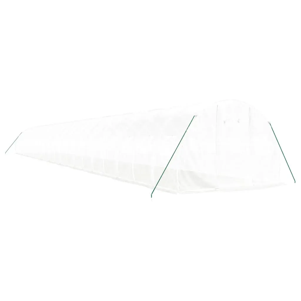 Greenhouse with Steel Frame White 66 m² 22x3x2 m Price