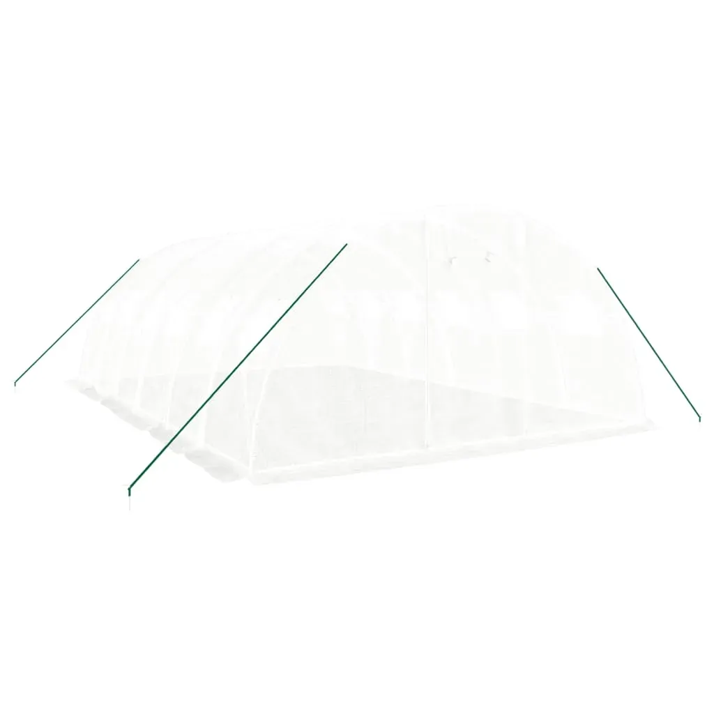 Greenhouse with Steel Frame White 24 m² 6x4x2 m Price