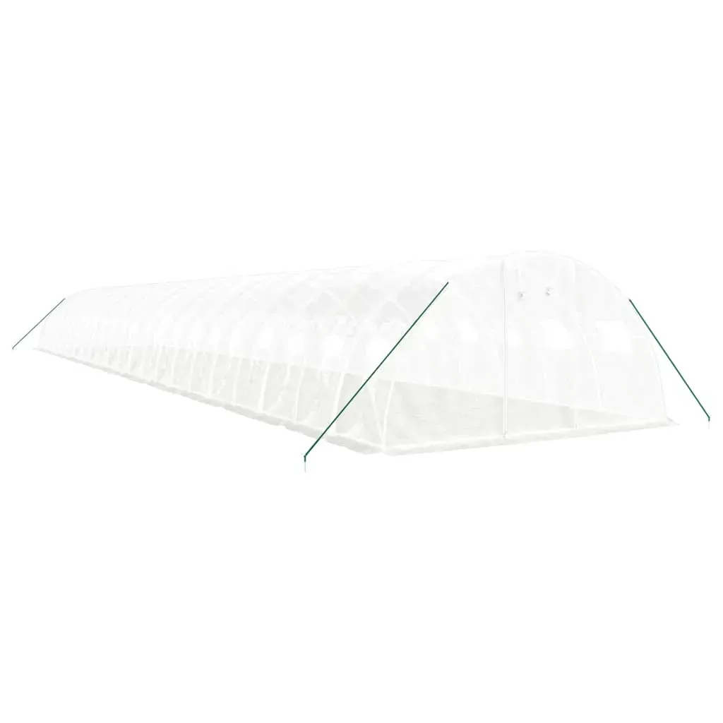 Greenhouse with Steel Frame White 88 m² 22x4x2 m Price