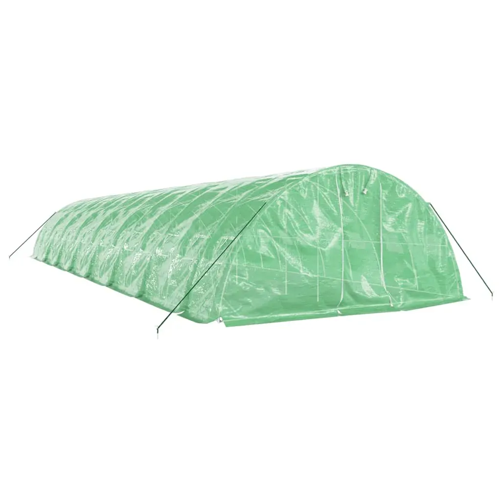 Greenhouse with Steel Frame Green 80 m² 16x5x2.3 m Price