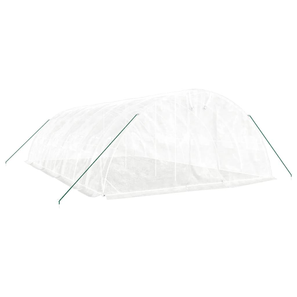 Greenhouse with Steel Frame White 40 m² 8x5x2.3 m Price