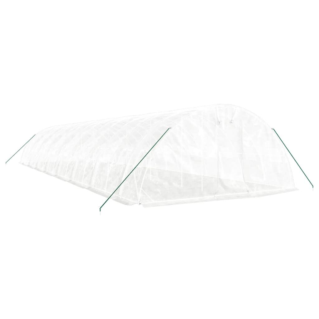 Greenhouse with Steel Frame White 80 m² 16x5x2.3 m Price