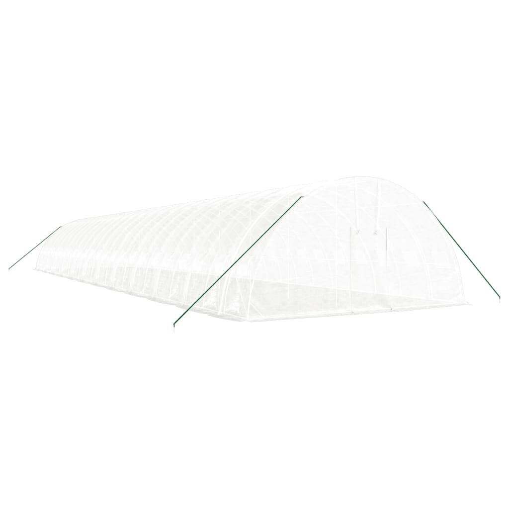 Greenhouse with Steel Frame White 144 m² 24x6x2.85 m Price