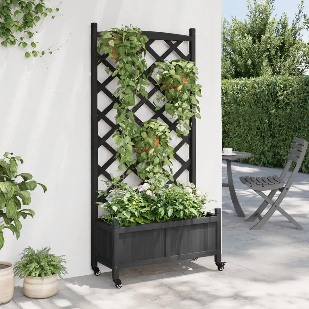 Planter with Trellis and Wheels Black Solid Wood Fir Price