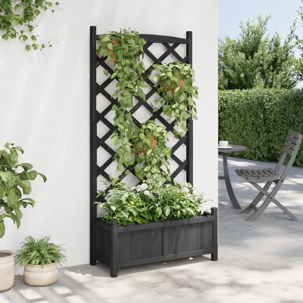 Planter with Trellis Black Solid Wood Fir Price
