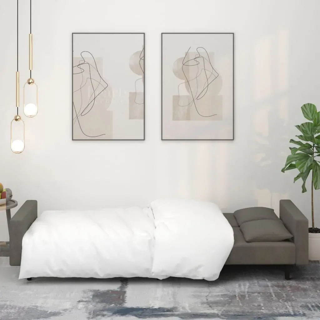 2-Seater Sofa Bed with Two Pillows Dark Grey Velvet Price