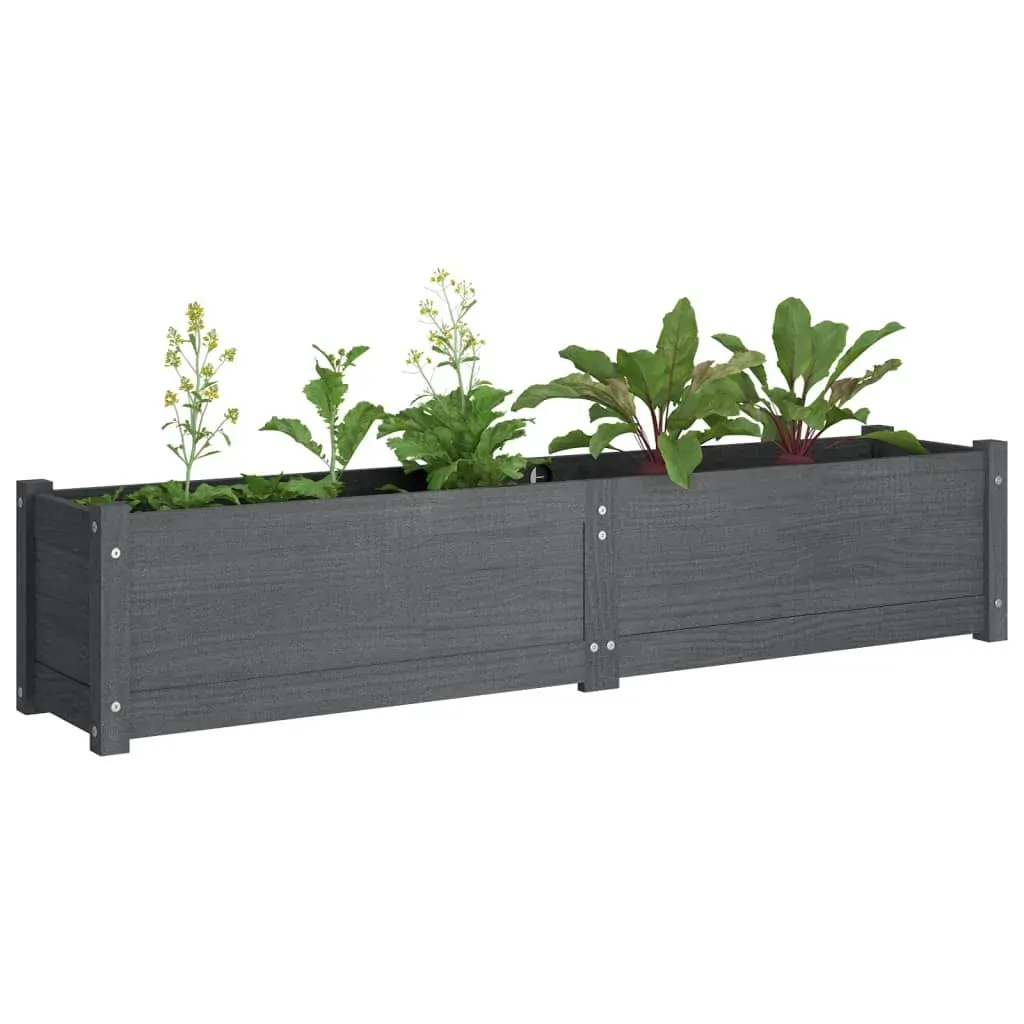 Garden Raised Bed Grey 150x31x31 cm Solid Pinewood Price