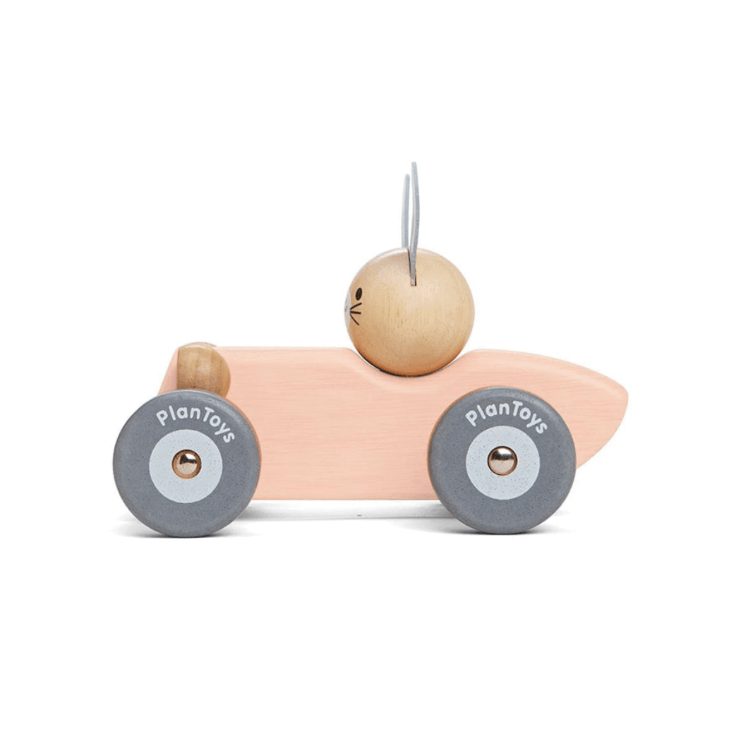 Bunny Racing Car Price