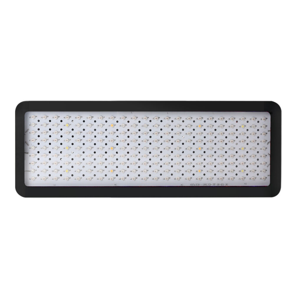 2X 2000W Grow Lights LED Full Spectrum Indoor Plant All Stage Growth Price