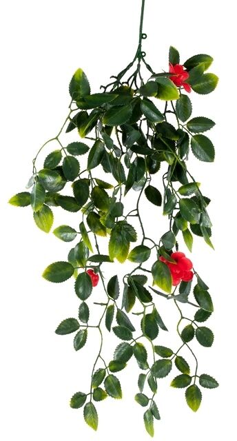 Mixed Hanging Foliage UV 60cm Price