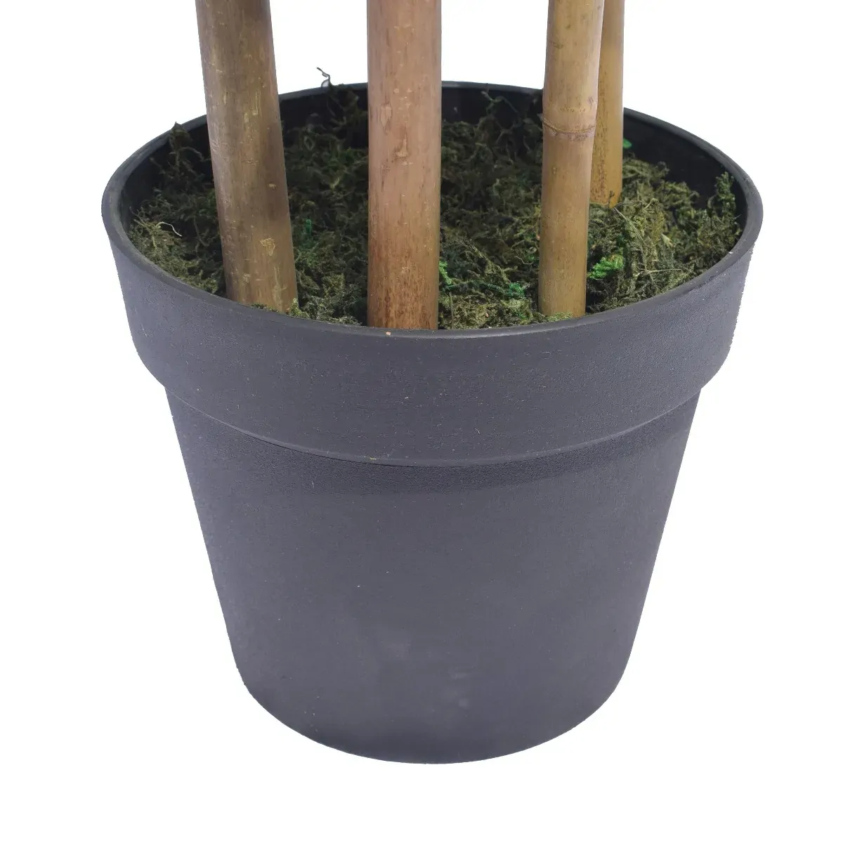 Natural Bamboo Trunk (Real Touch Leaves) Price