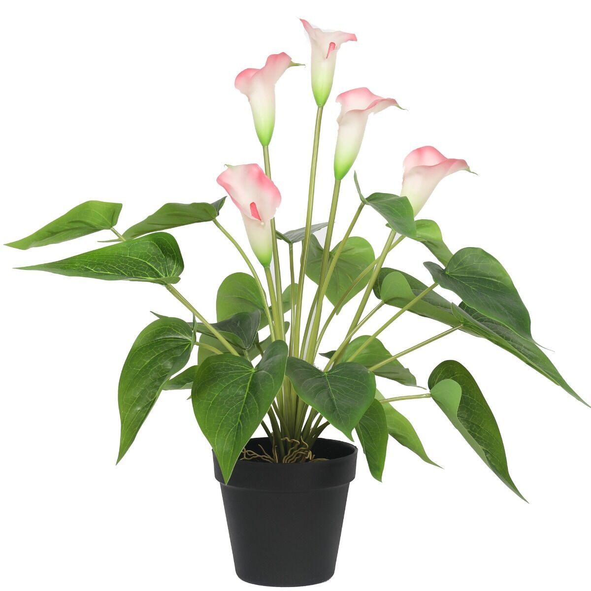 Artificial Flowering Peace Lily / Calla Lily Plant 50cm Price