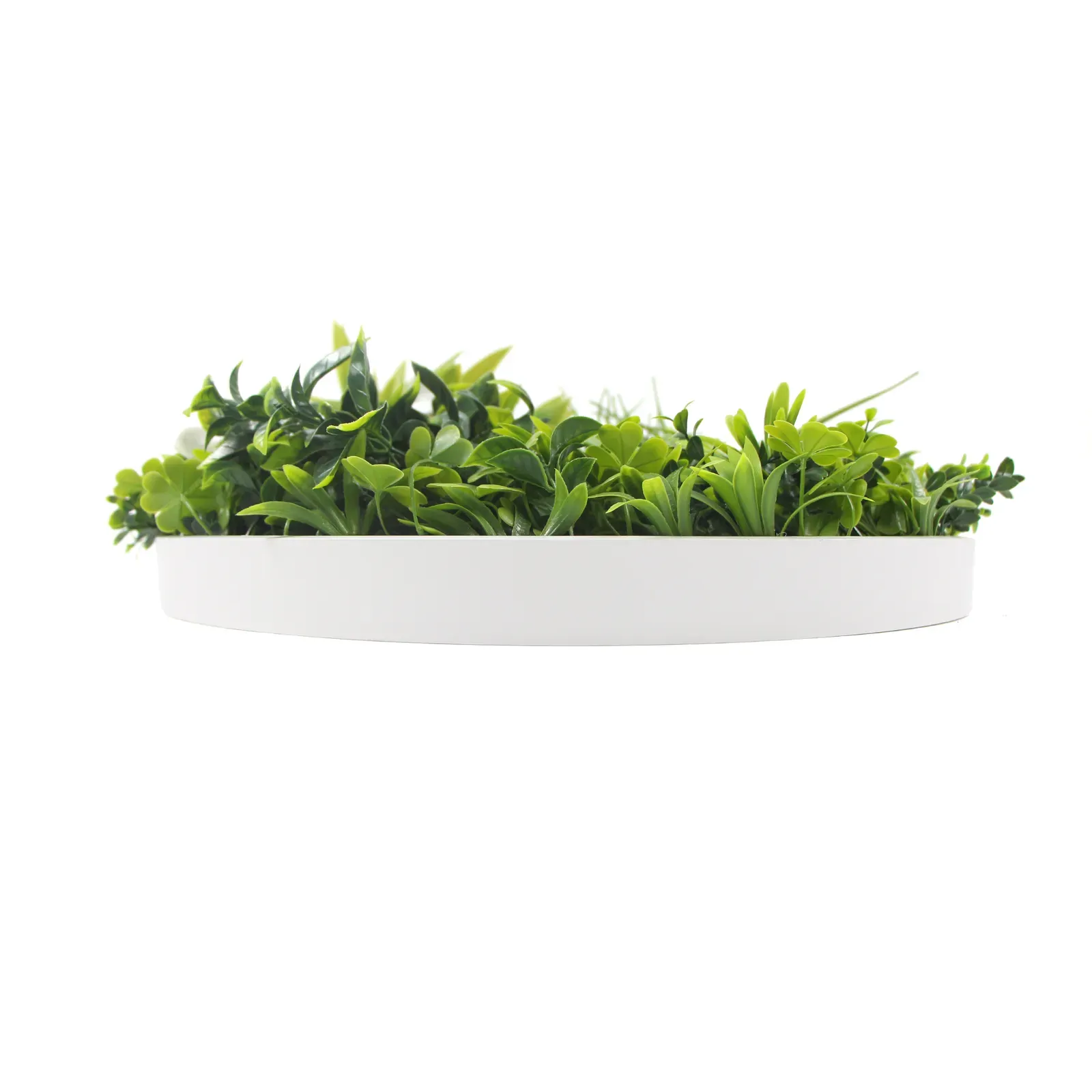 Flowering White Artificial Green Wall Disc UV Resistant Price