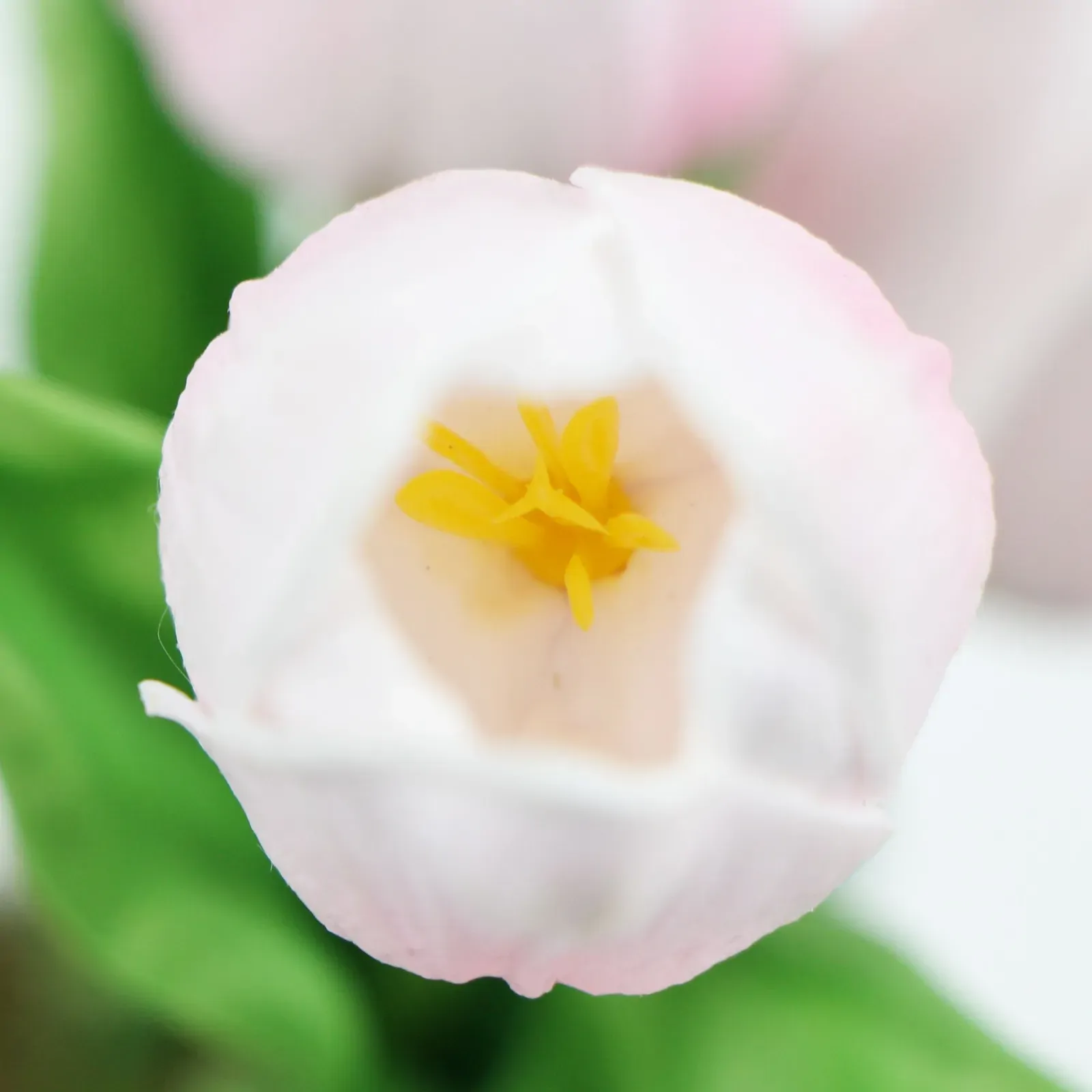 Flowering Artificial Tulip Plant Arrangement With Ceramic Bowl 35cm Price
