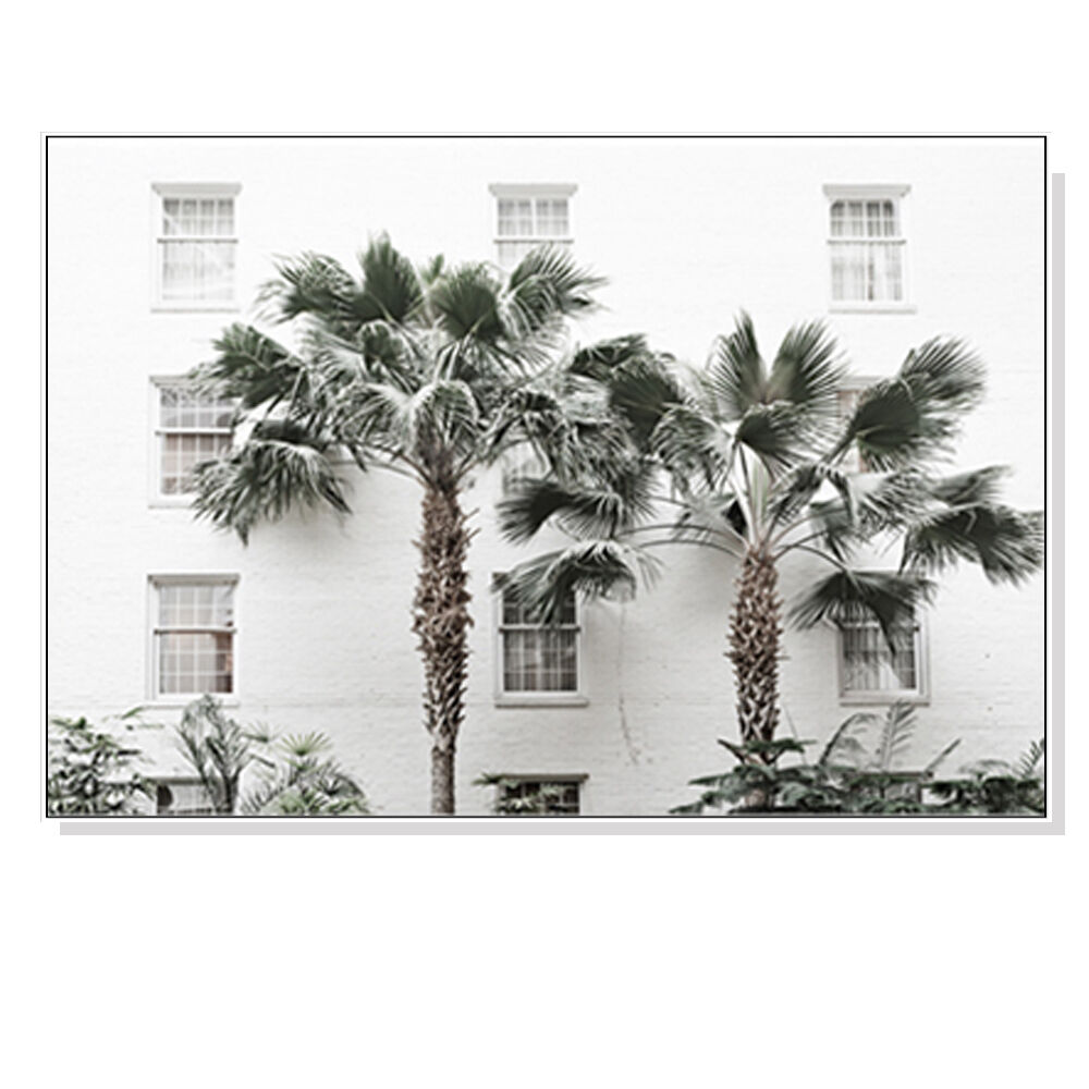 Palm Tree White Frame Canvas Wall Art Price