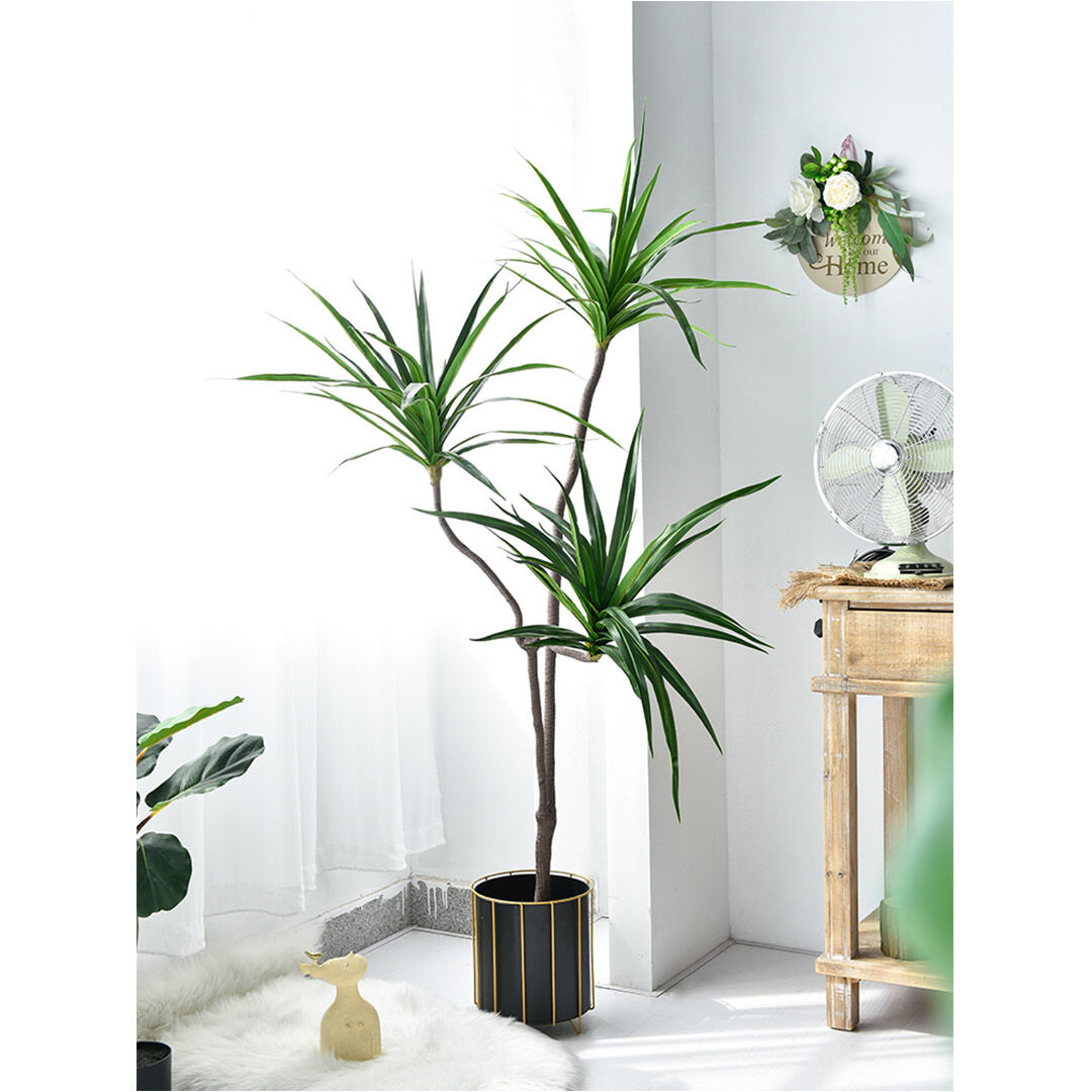 Green Artificial Indoor Brazlian Iron Tree Fake Plant Decorative 3 Heads Price
