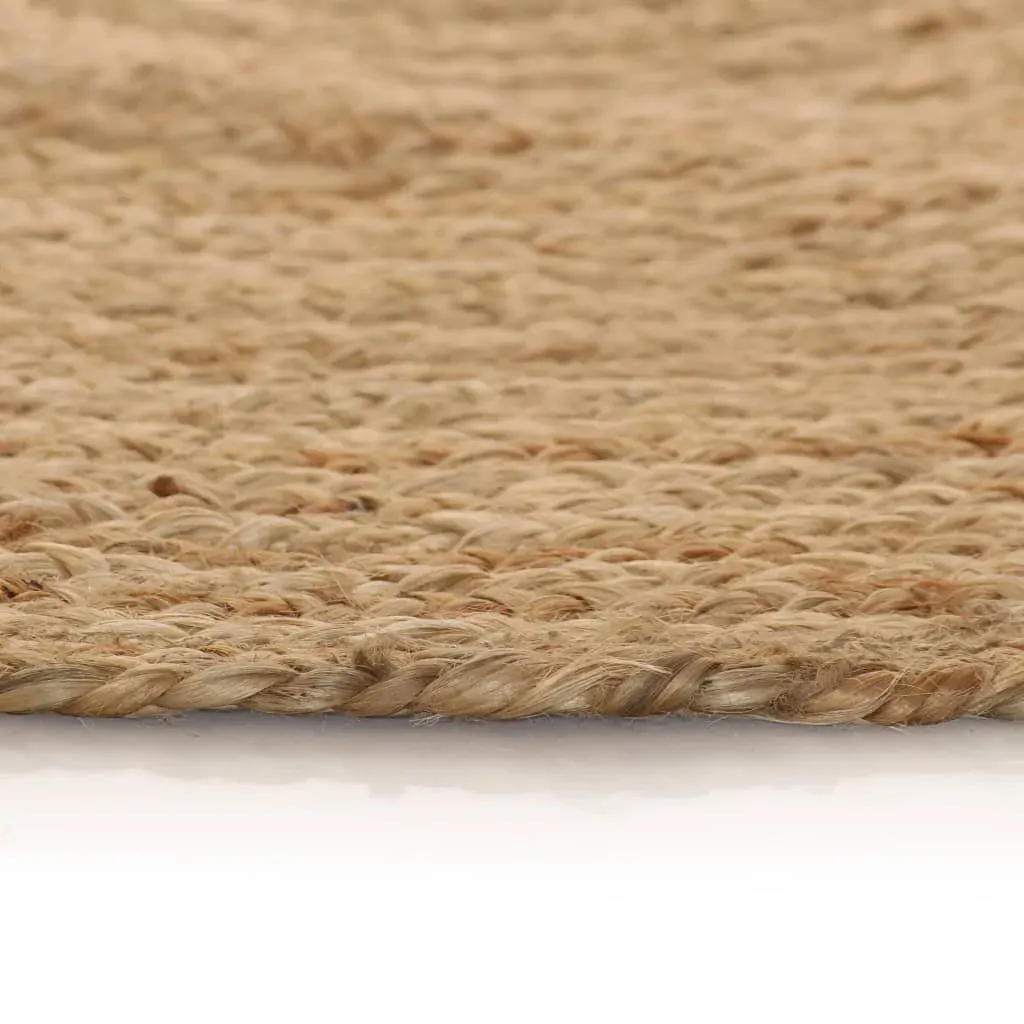 Area Rug Braided Jute Round Price