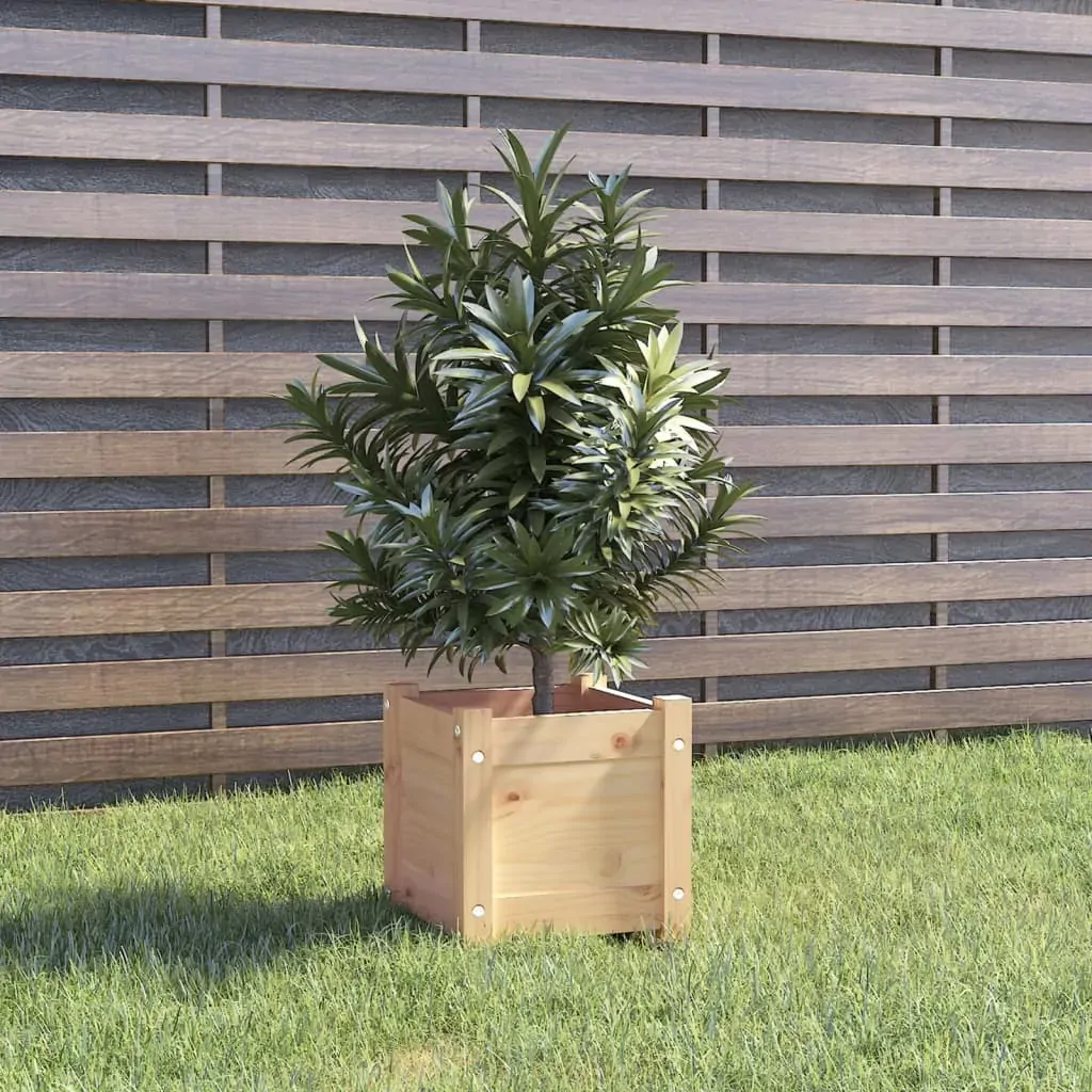 Garden Planter 31x31x31 cm Solid Pinewood Price
