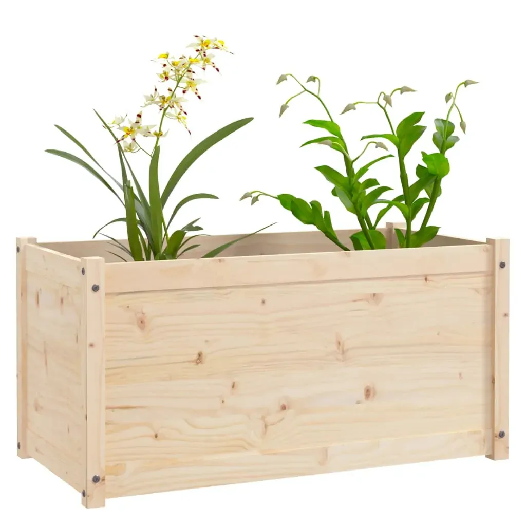 Garden Planter 100x50x50 cm Solid Pinewood Price