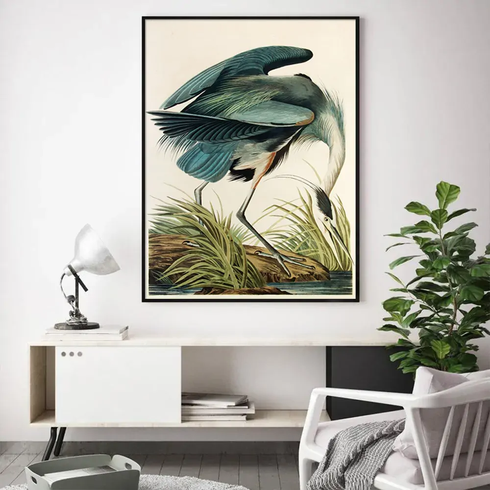 Great Blue Heron By John James Audubon Black Frame Canvas Wall Art Price