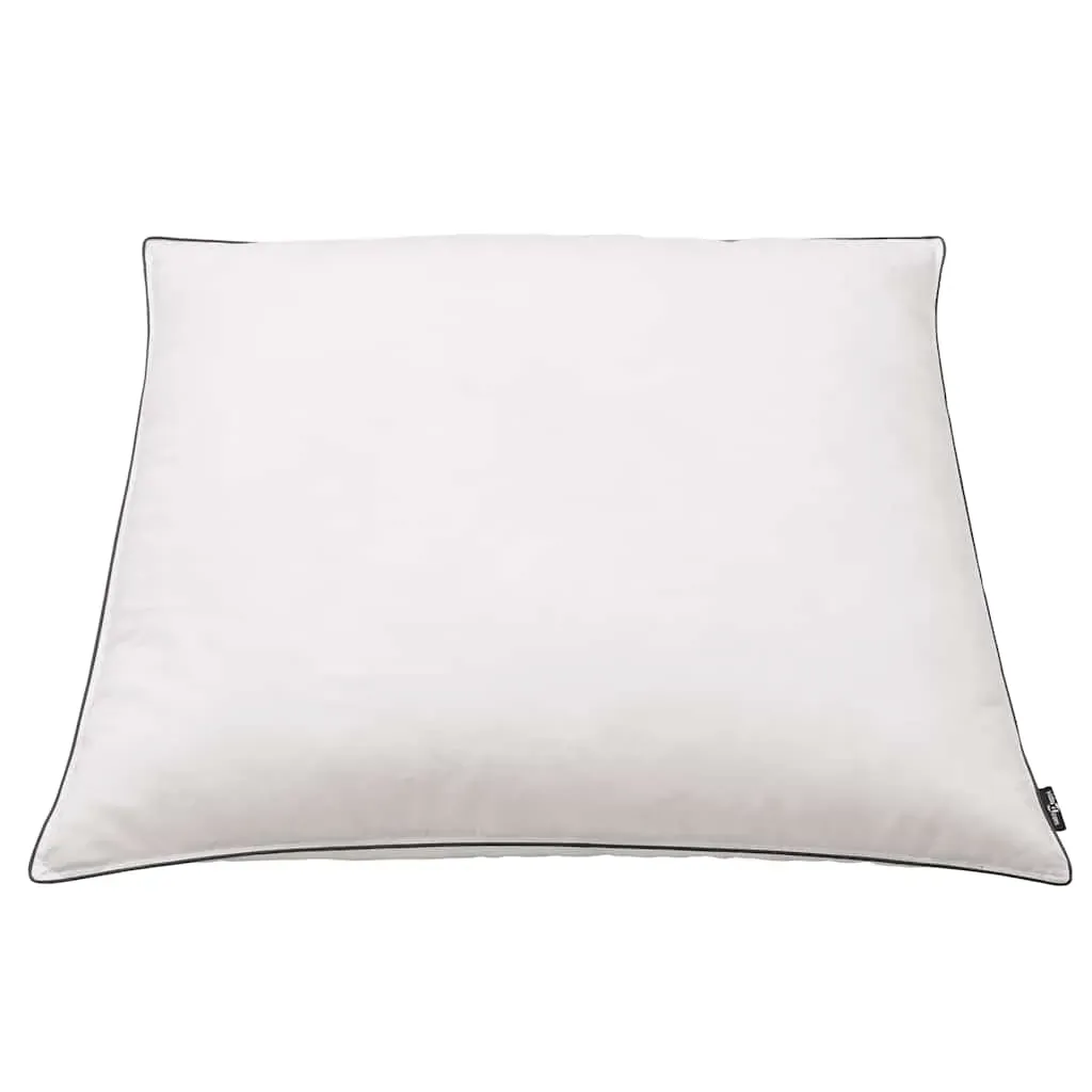 Pillows 2 pcs Down/Feather Filling Heavy White Price