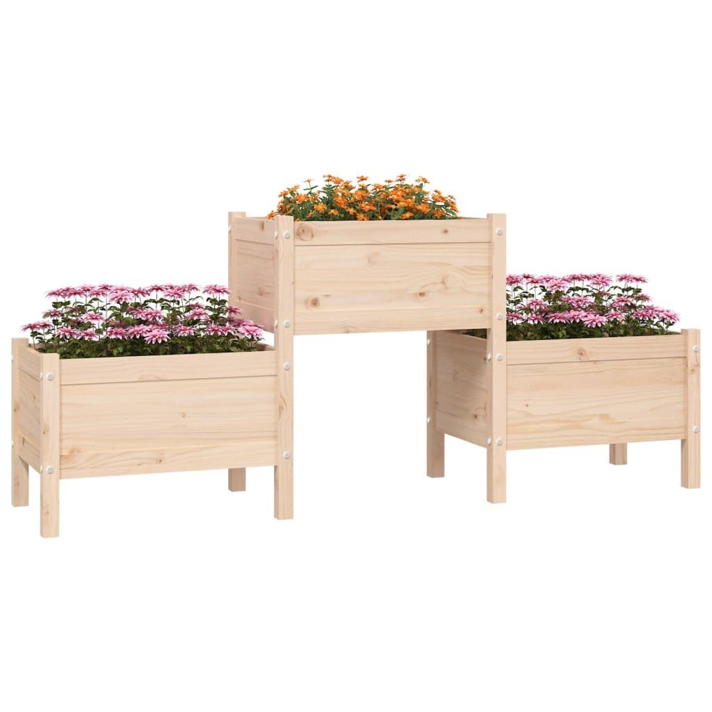 Planter Solid Wood Pine Price