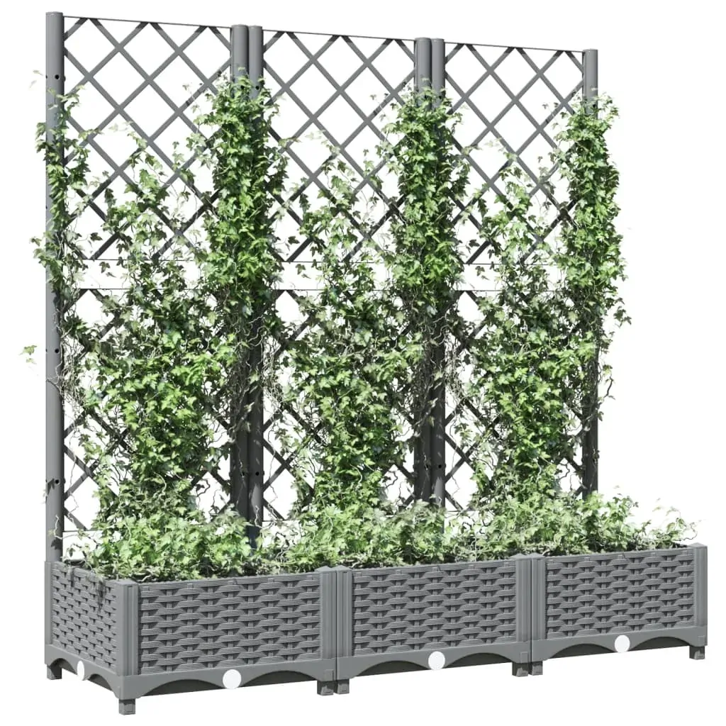 Garden Planter with Trellis PP Price