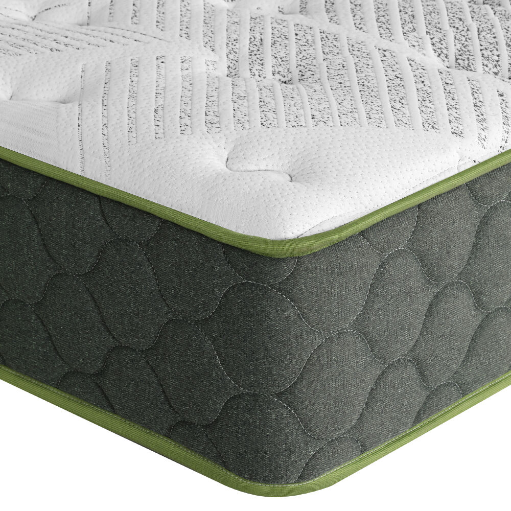 25cm Mattress Green Tea Foam Single Price