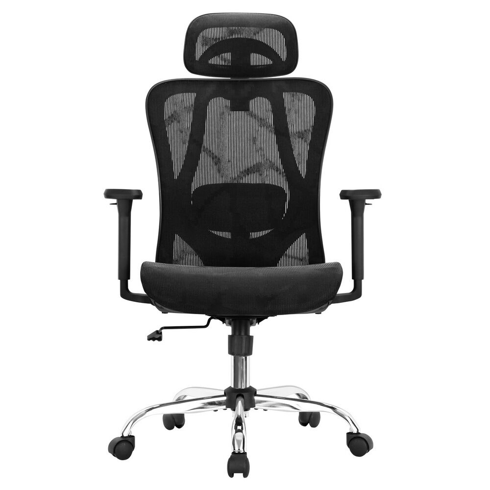 Ergonomic Office Chair Recline Black Price