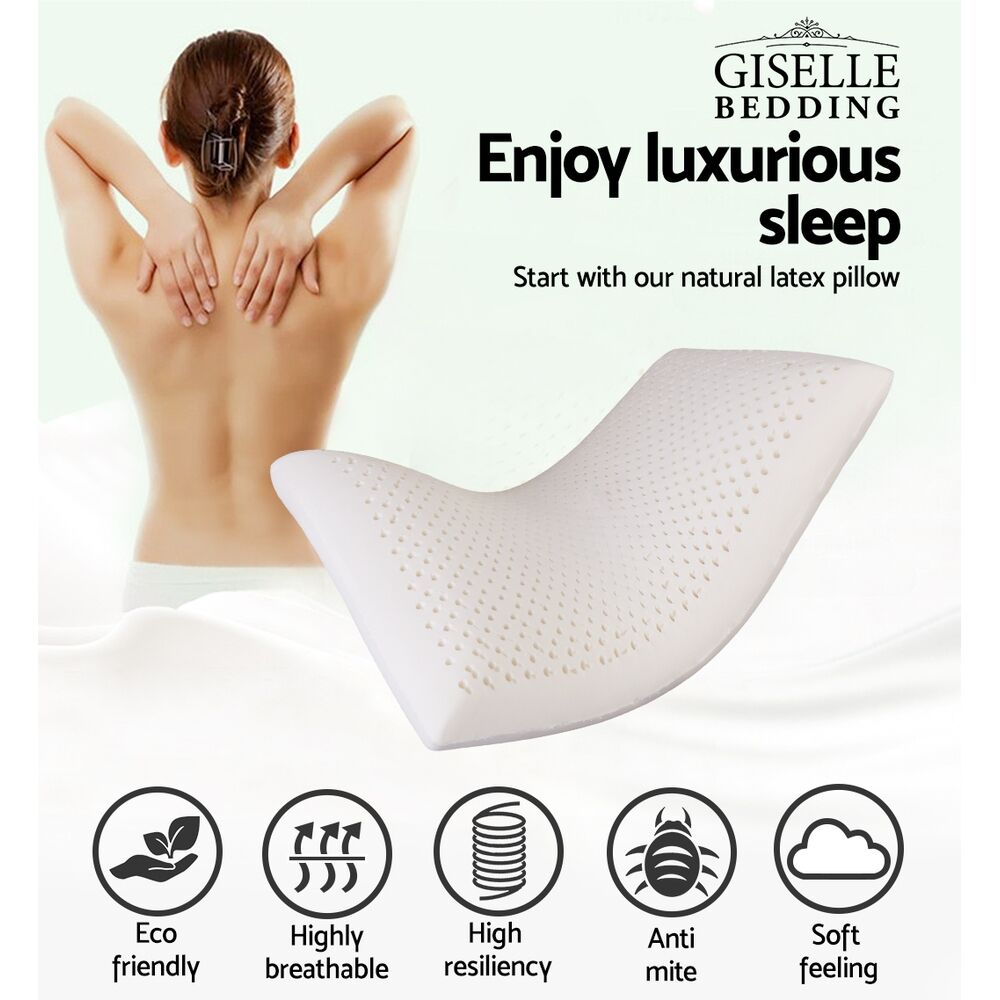 Natural Latex Pillow Classic Twin Pack Price