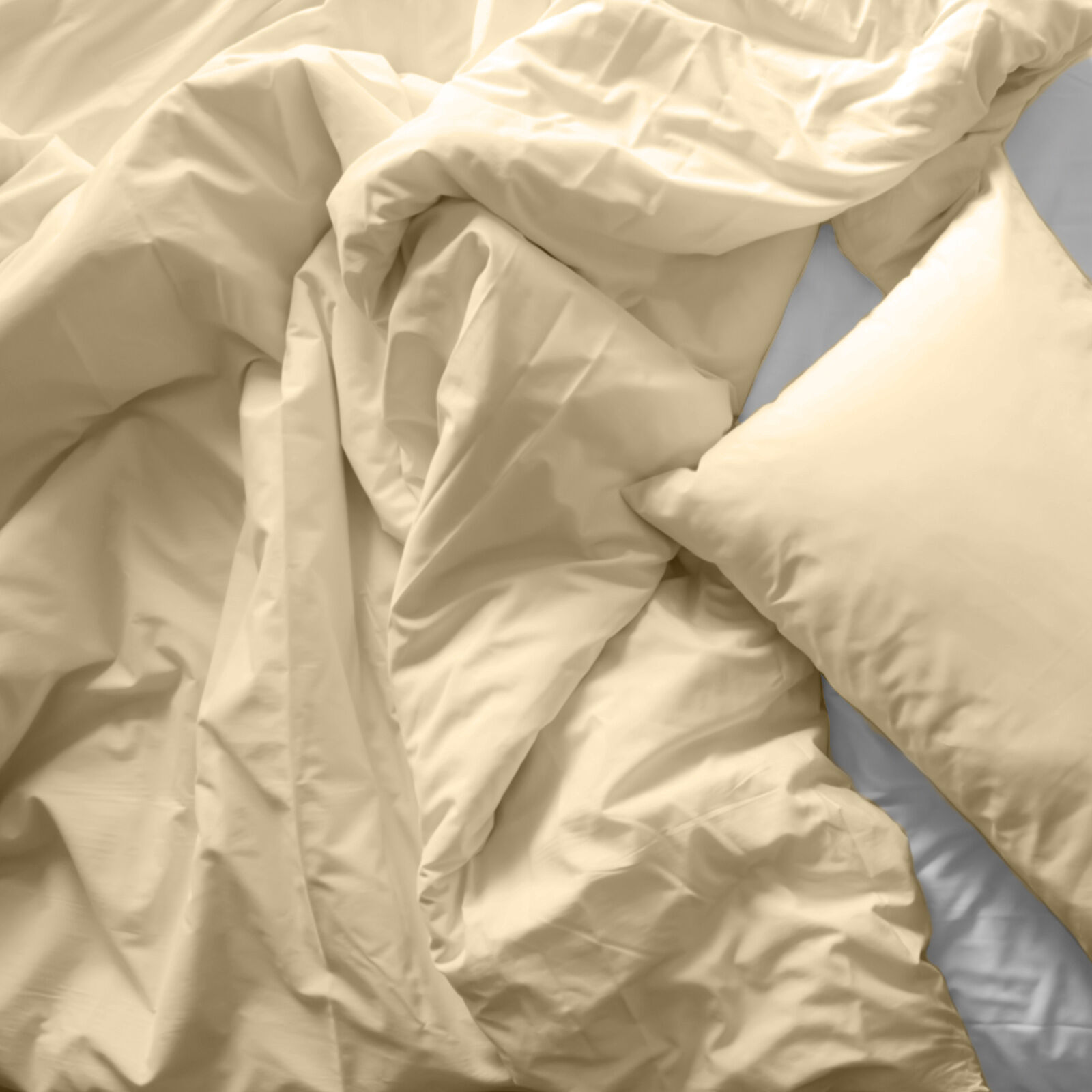 Royal Comfort Bamboo Blended Quilt Cover Set 1000TC Ultra Soft Luxury Bedding - Double - Ivory Price