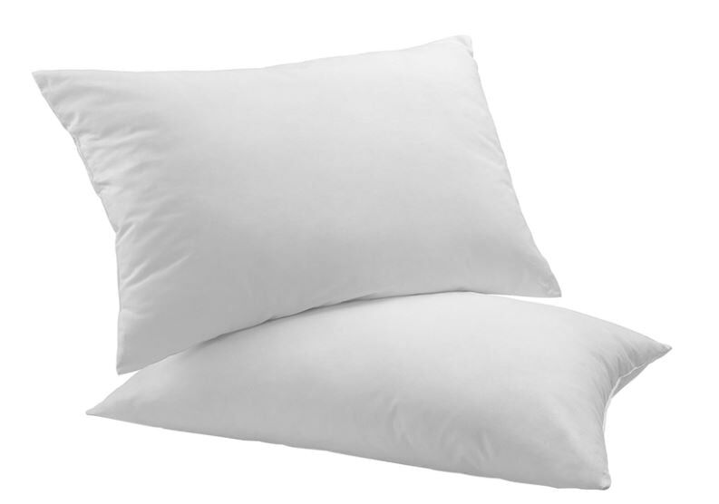Dreamaker Allergy Sensitive Cotton Cover Pillow 2 Pack Price