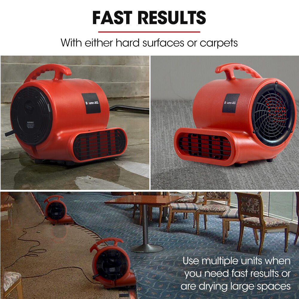 Baumr-AG 3-Speed Carpet Dryer Air Mover Blower Fan, 700CFM, Sealed Copper Motor, Poly Housing Price