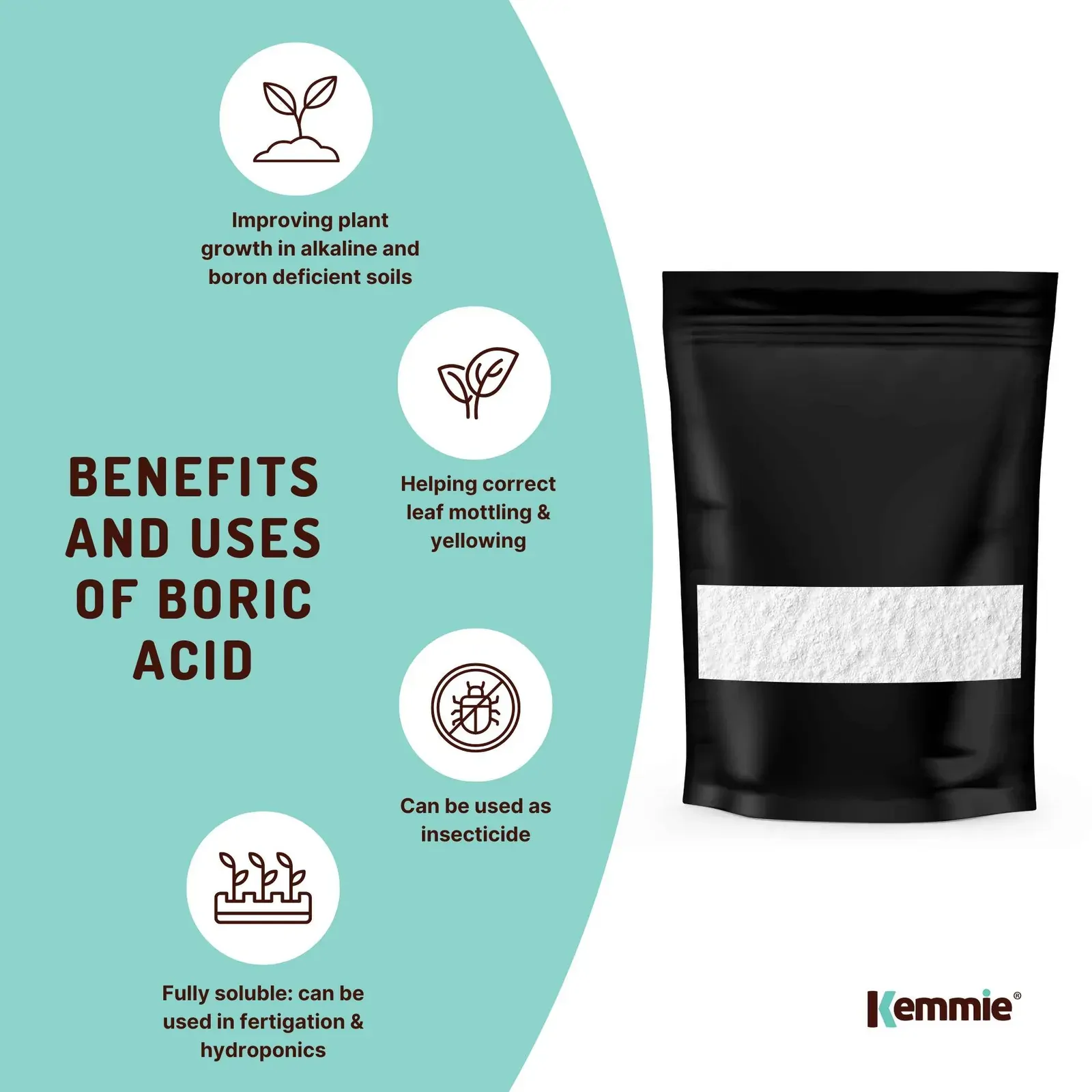 100g Boric Acid Powder High Purity Fully Soluble Granule Pest Ant Cockroaches Price