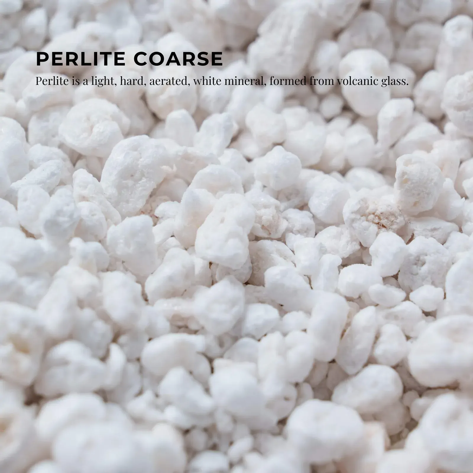 100L Organic Perlite Coarse Premium Soil Expanded Medium Plants Hydroponics Bulk Price