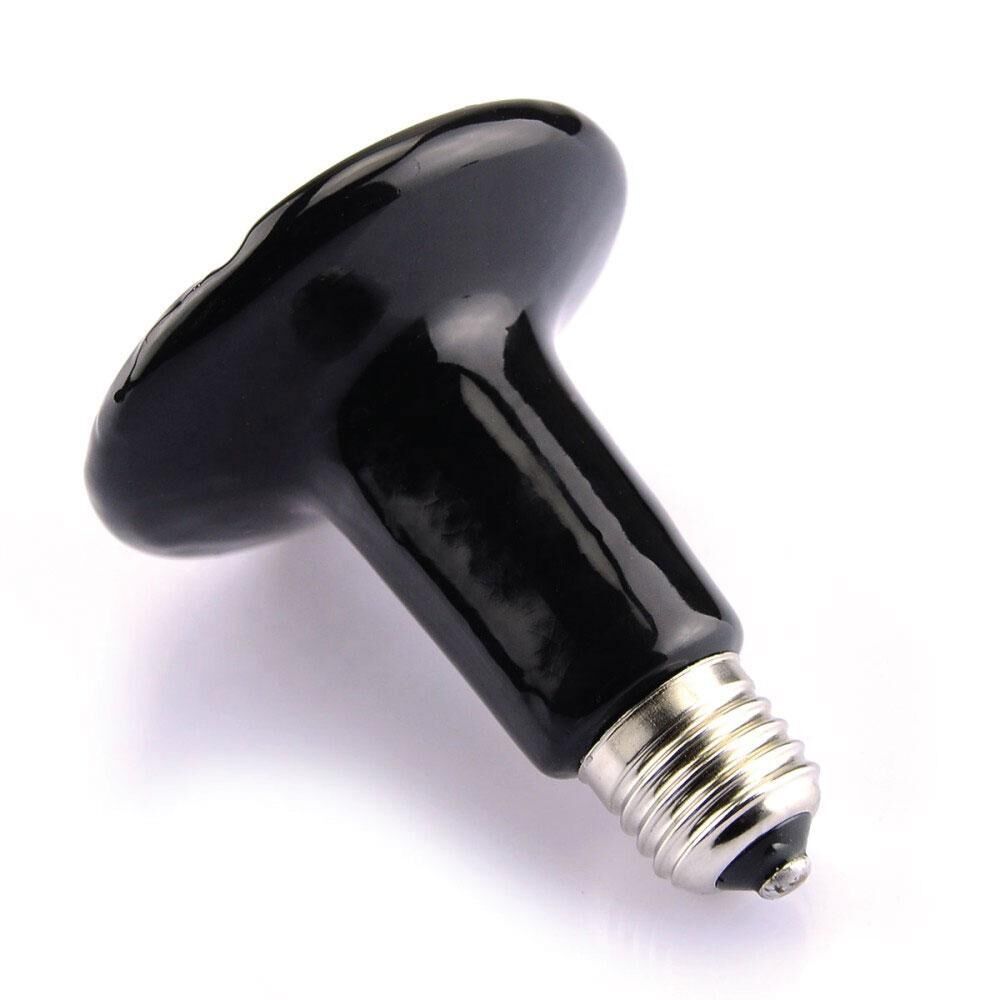 75W Pet Ceramic Heat Lamp - Infrared Heat Emitter Reptile Snake Lizard Chicken Price