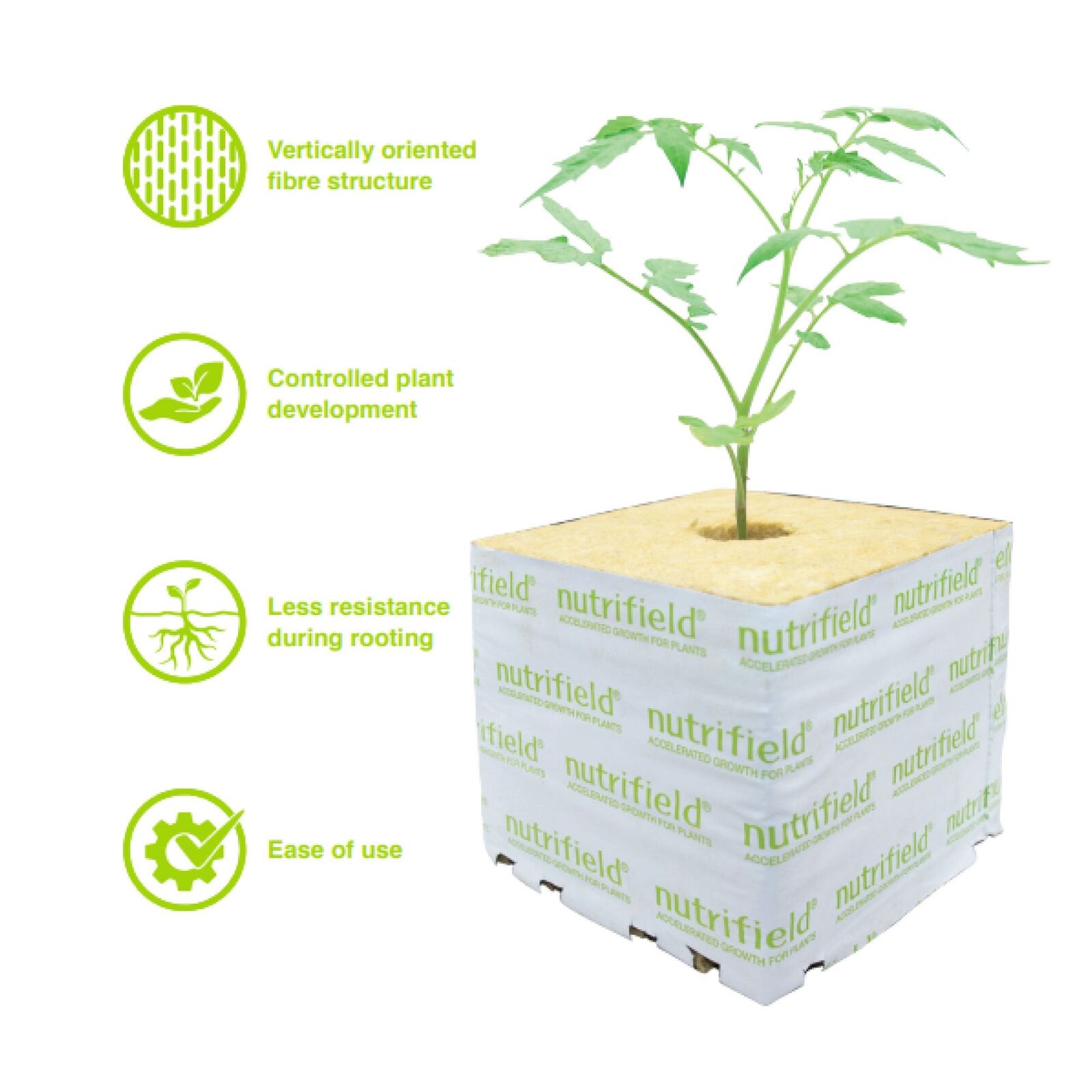 75x75x65mm Stonewool 8pk - Planting Propagation Growing Assist Block Nutrifield Price