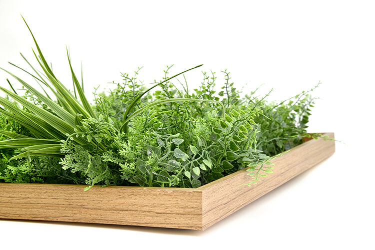 3D Green Artificial Plants Wall Panel Flower Wall With Frame Vertical Garden UV Resistant 50X100CM Price