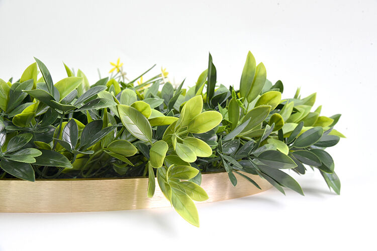 Artificial Green Wall Plant Garden Panel Daffodil Smile Disc Art 50cm Grassy UV Resistant Frame Price