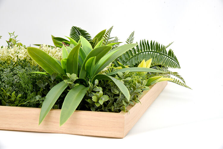 3D Green Artificial Plants Wall Panel Flower Wall With Frame Vertical Garden UV Resistant 50X50CM Price