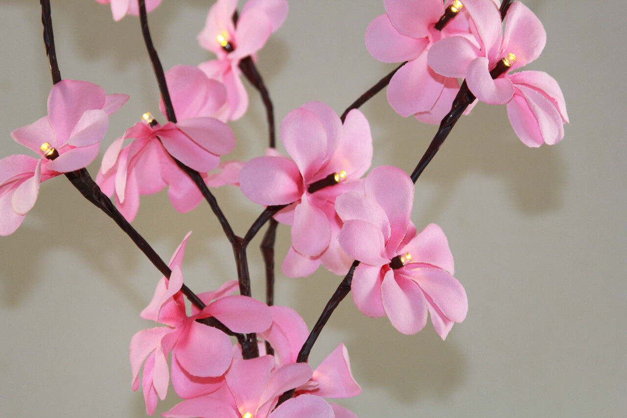 1 Set of 50cm H 20 LED Pink Frangipani Tree Branch Stem Fairy Light Wedding Event Party Function Table Vase Centrepiece Decoration Girl Bedroom Price