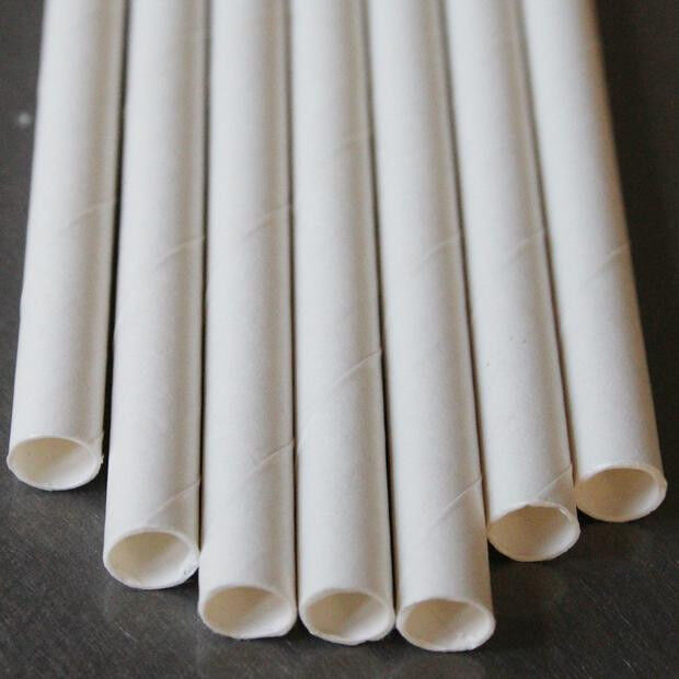 1000 Bulk Wholesale Pack White Drinking Straws Biodegradable Eco Paper Birthday Party Event Bistro Bar Cafe Take Away Price