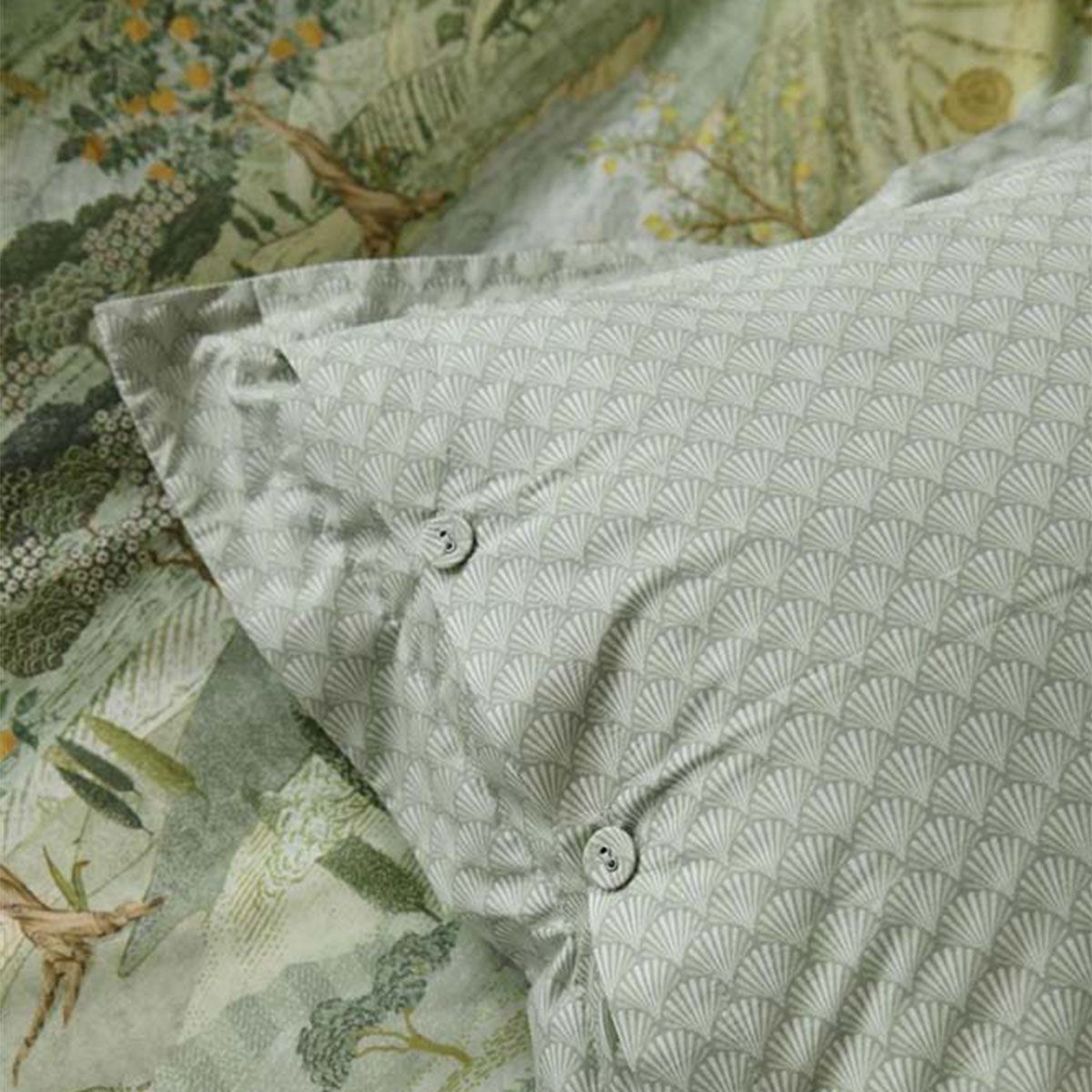 Toscana Green Cotton Quilt Cover Set King Price